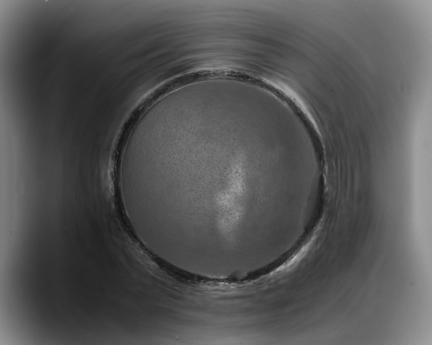 X0000090490783200707201536