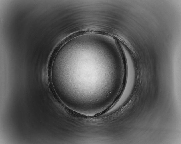 X0000090490784200707201536