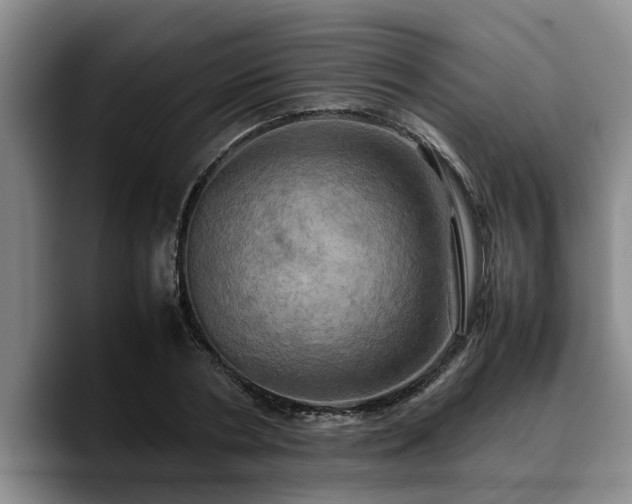 X0000090490786200707201536
