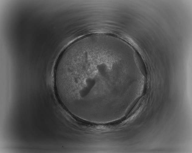 X0000090490787200707201536