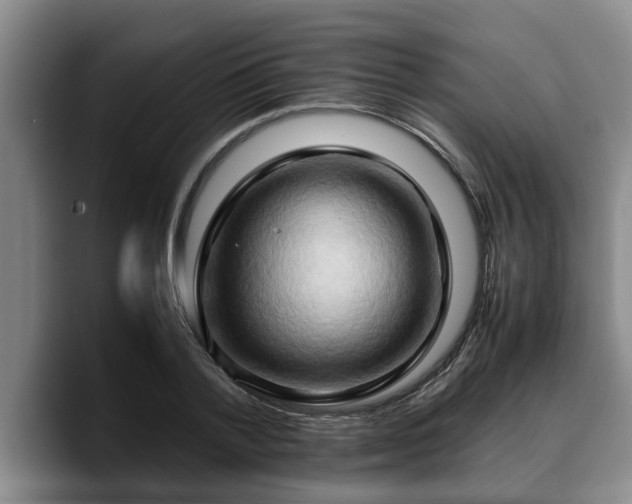X0000090490788200707201536