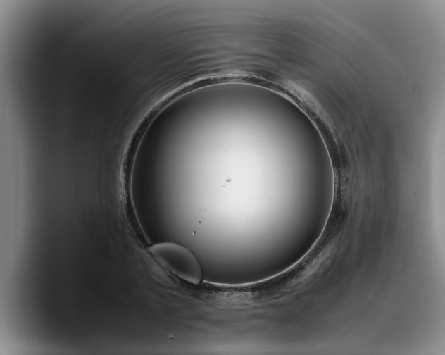 X0000090490789200707201536