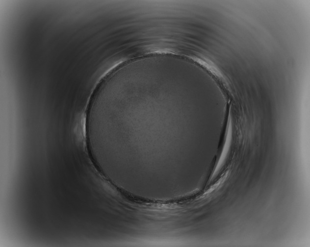 X0000090490790200707201536