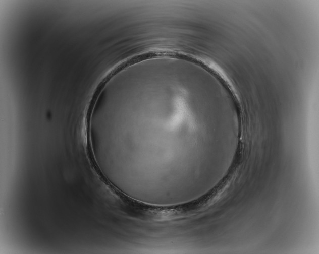 X0000090490791200707201536