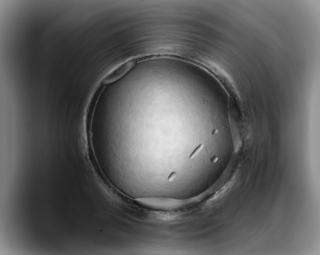 X0000090490792200707201536