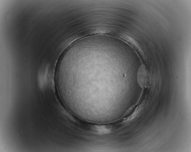 X0000090490794200707201536