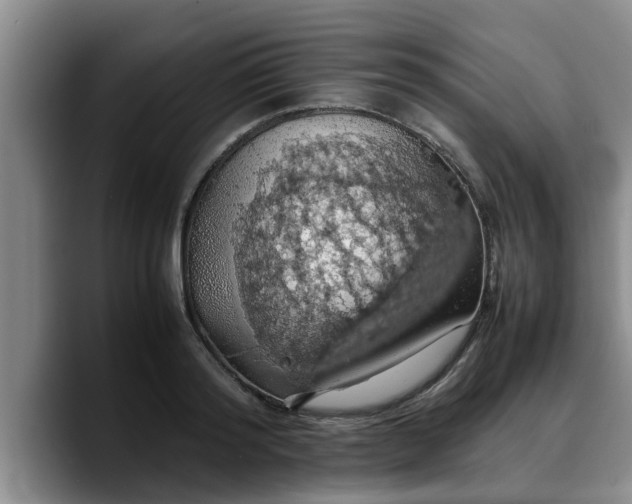 X0000090490796200707201536