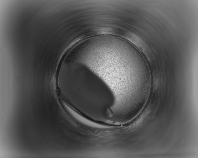 X0000090490798200707201536