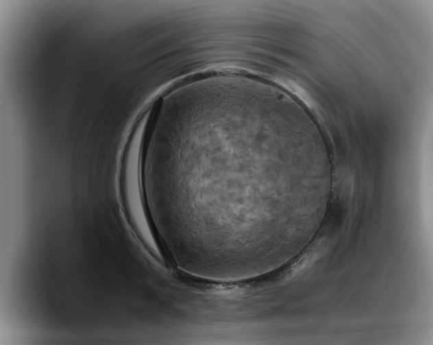 X0000090490799200707201536