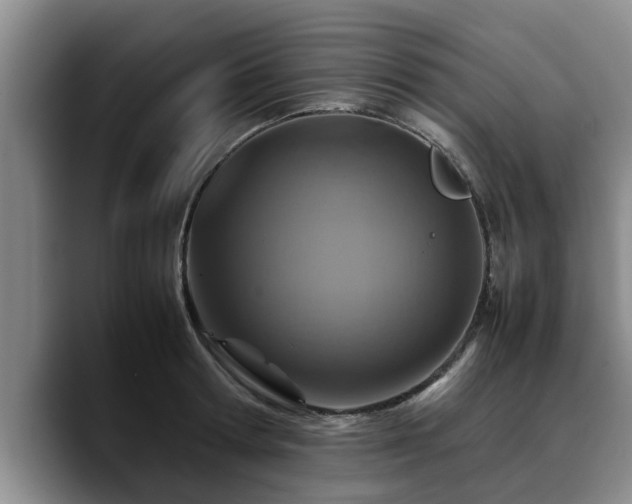 X0000090490802200707201536