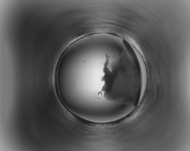 X0000090490803200707201536