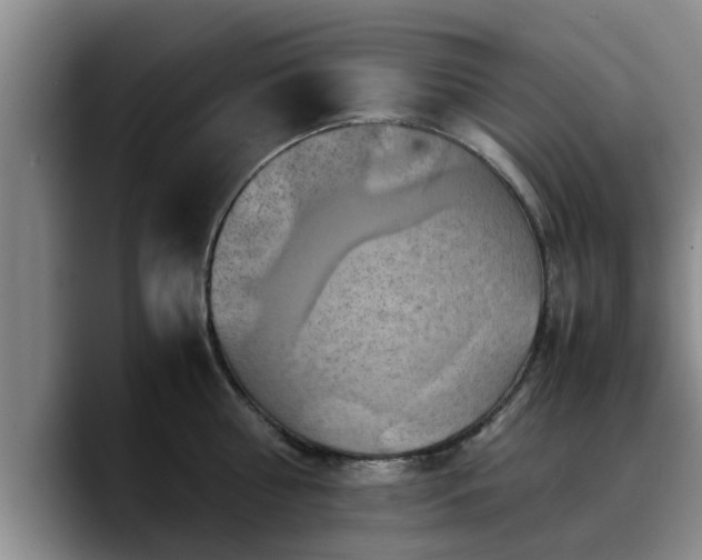 X0000090490810200707201536
