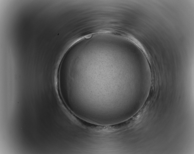 X0000090490811200707201536