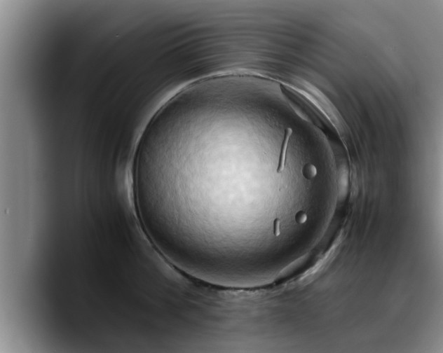 X0000090490812200707201536