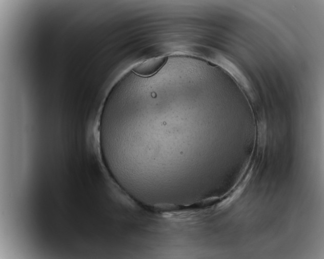 X0000090490814200707201536