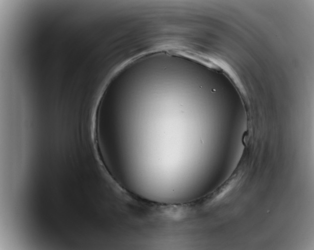 X0000090490815200707201536
