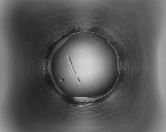 X0000090490818200707201535