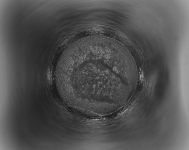 X0000090490819200707201535