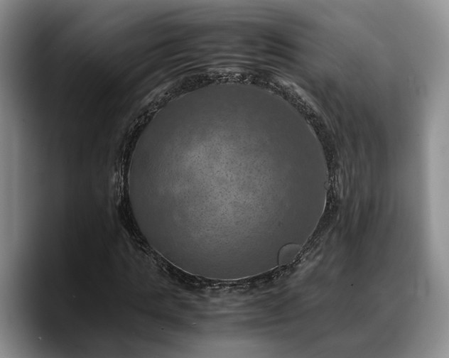 X0000090490821200707201535