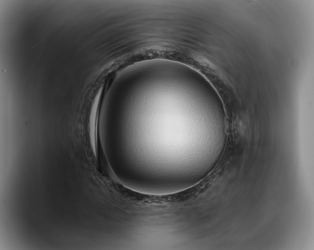 X0000090490822200707201535
