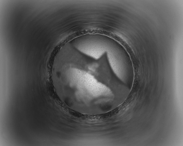 X0000090490823200707201535