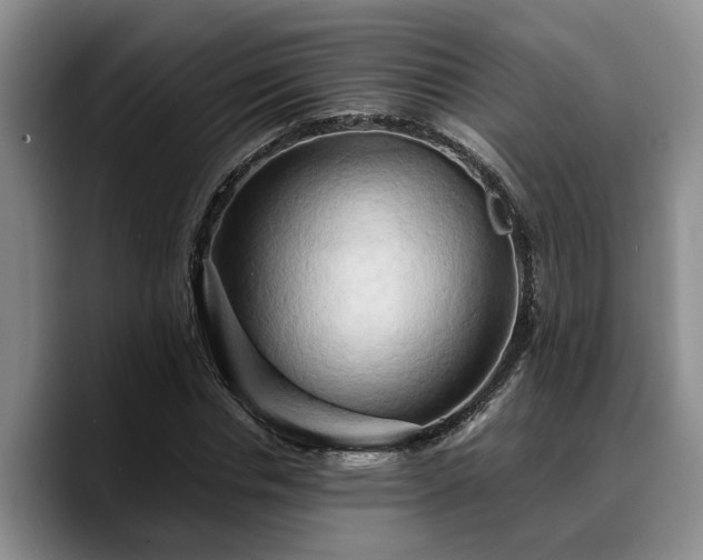 X0000090490826200707201536