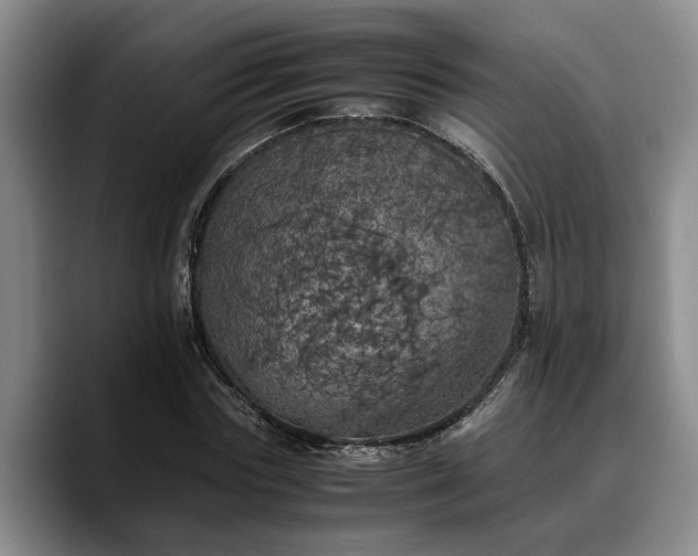 X0000090490827200707201536