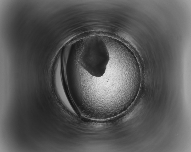 X0000090490829200707201536