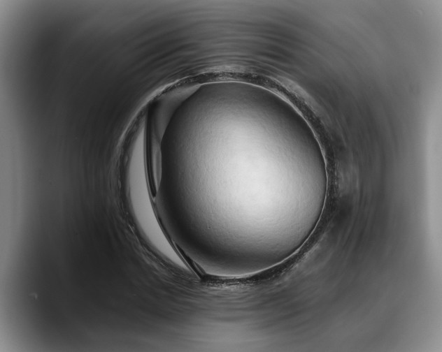 X0000090490830200707201536