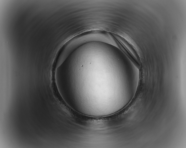 X0000090490834200707201536