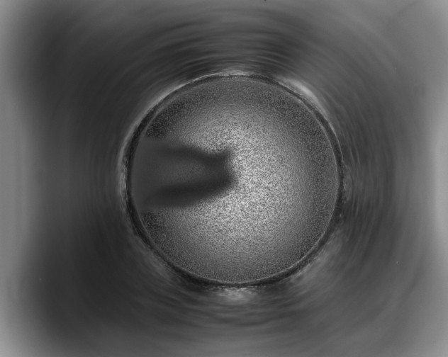 X0000090490835200707201536