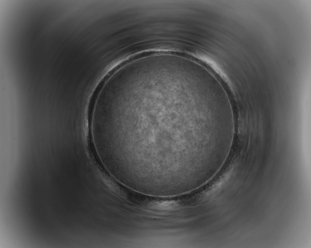 X0000090490837200707201536