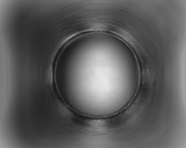 X0000090490838200707201536