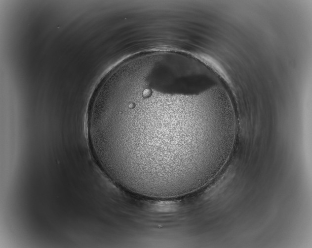 X0000090490839200707201536
