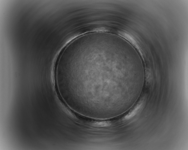 X0000090490843200707201536