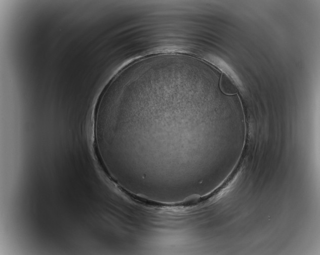 X0000090490844200707201536