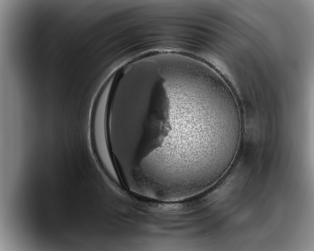 X0000090490845200707201536
