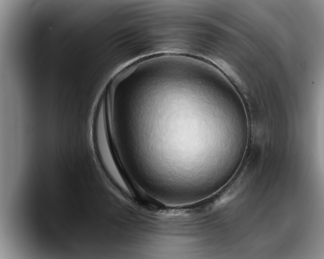 X0000090490846200707201536