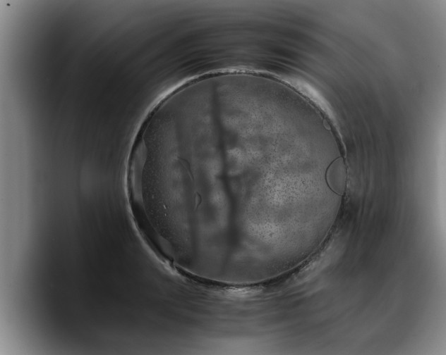 X0000090490847200707201536