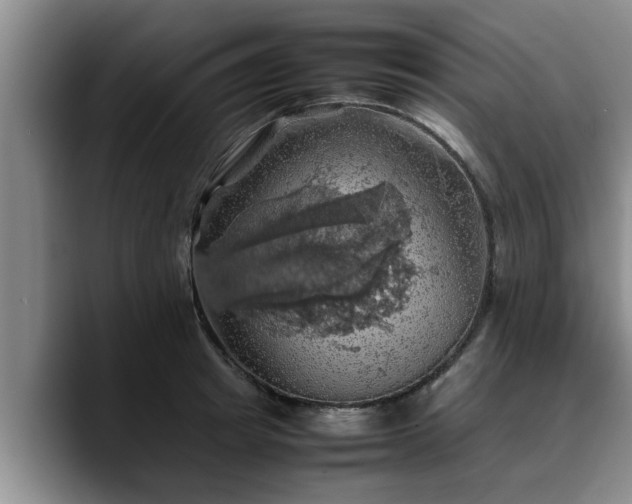 X0000090490849200707201536