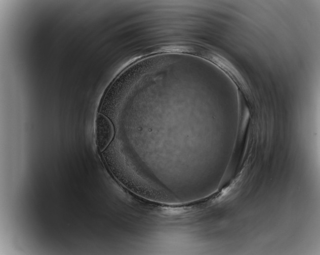 X0000090490852200707201536