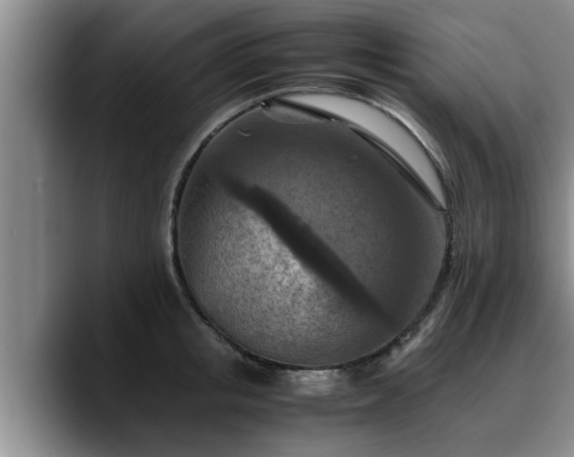 X0000090490853200707201536