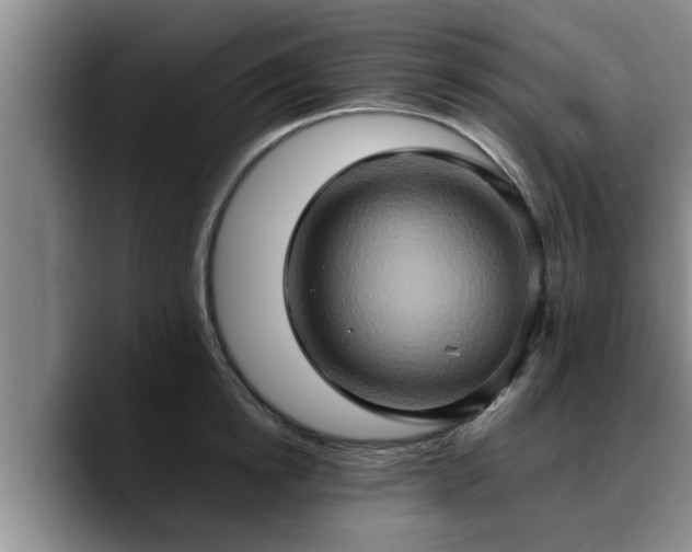 X0000090490854200707201536