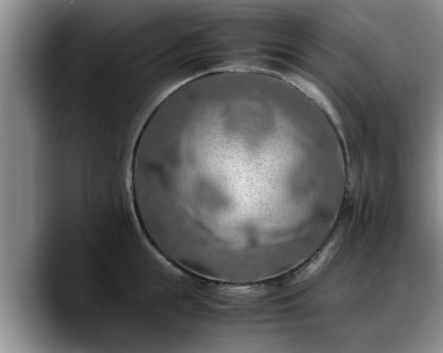 X0000090490855200707201536