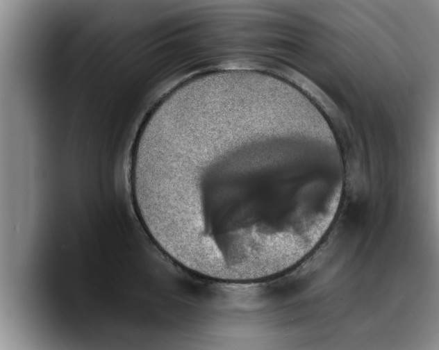 X0000090490856200707201536