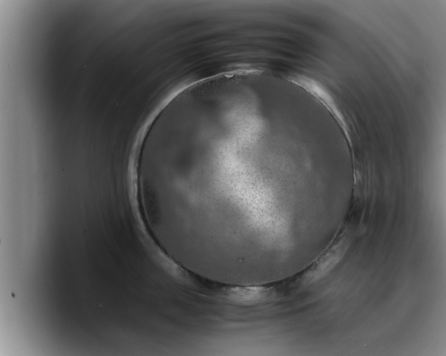 X0000090490859200707201536