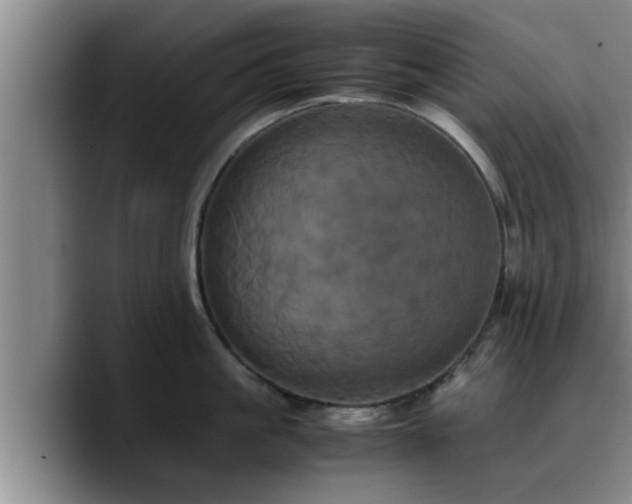 X0000090490861200707201536