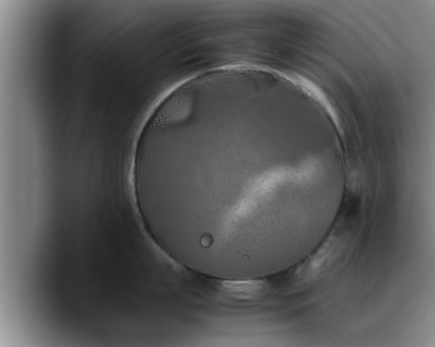X0000090490863200707201536
