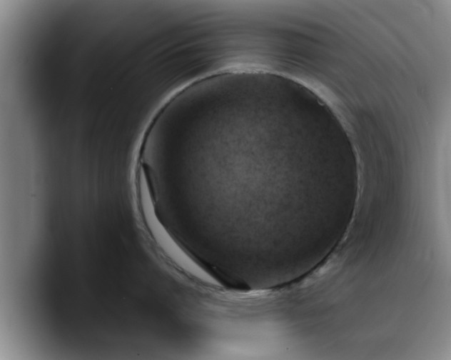 X0000090490864200707201536