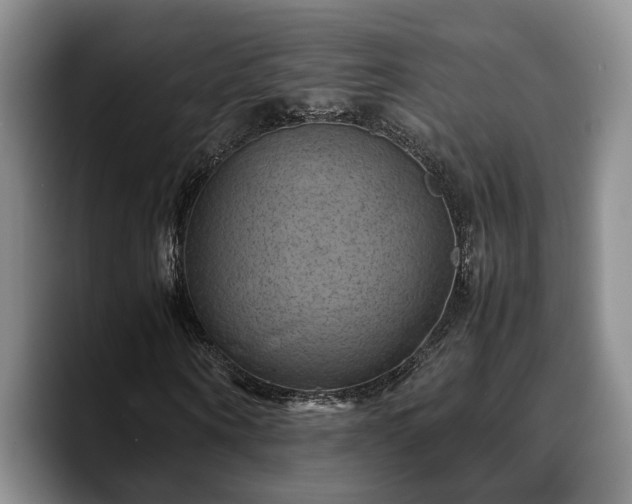X0000090490866200707201535